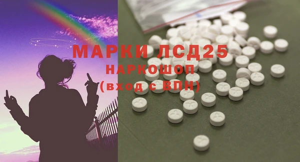 гашик Алзамай