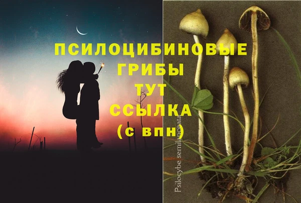 гашик Алзамай