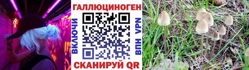Галлюциногенные грибы MAGIC MUSHROOMS  Керчь 