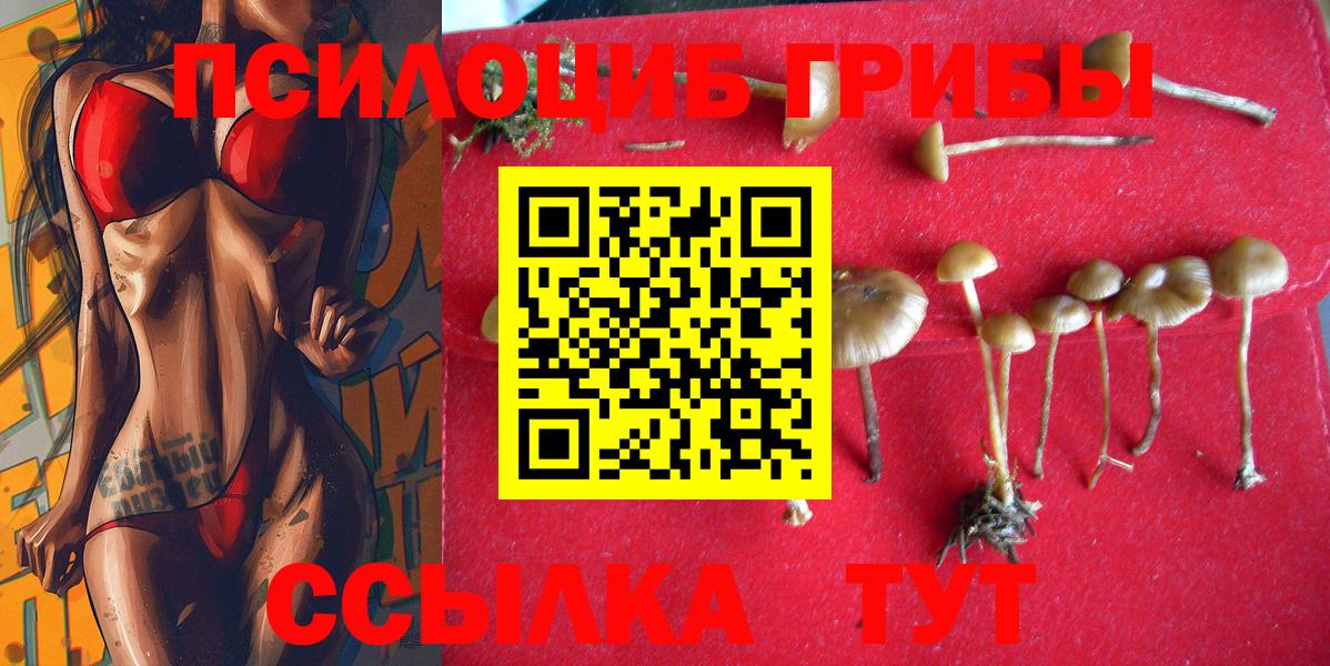 Галлюциногенные грибы Psilocybine cubensis Керчь