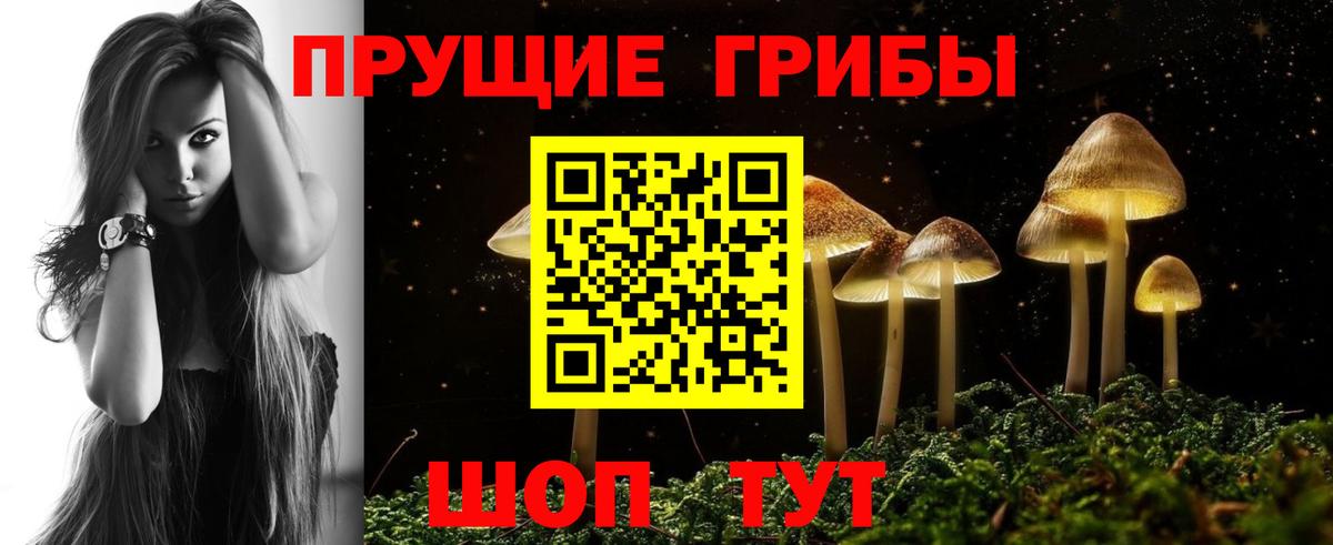 Галлюциногенные грибы мицелий  Псилоцибиновые грибы Cubensis  где купить наркоту  Вход с VPN  Керчь 